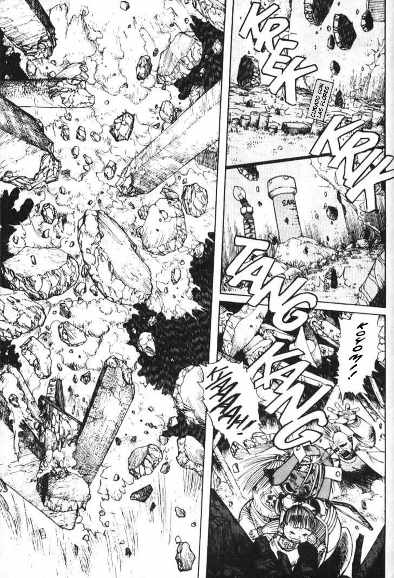 Read Battle Angel Alita es Manga Online