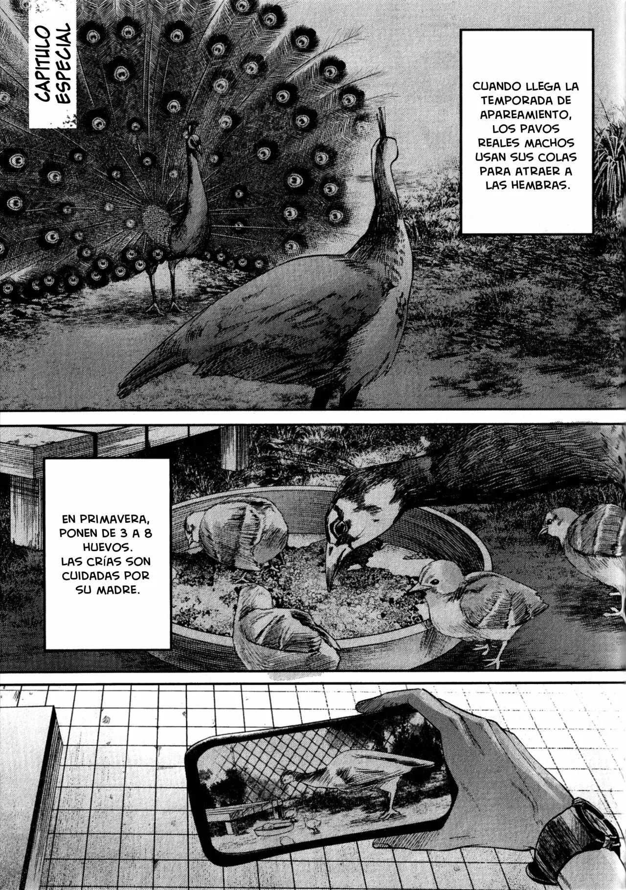 Read Hikaru no shinda Natsu ES Manga Online