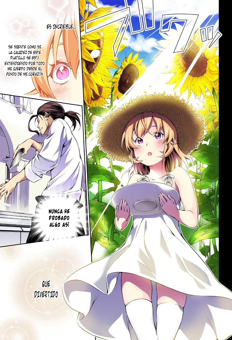 Read Shokugeki no Soma ES Manga Online