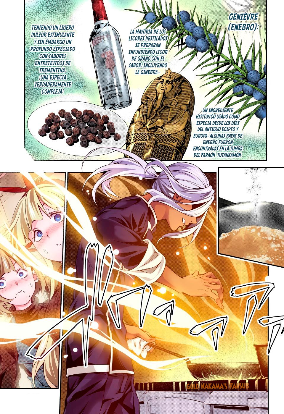 Read Shokugeki no Soma ES Manga Online