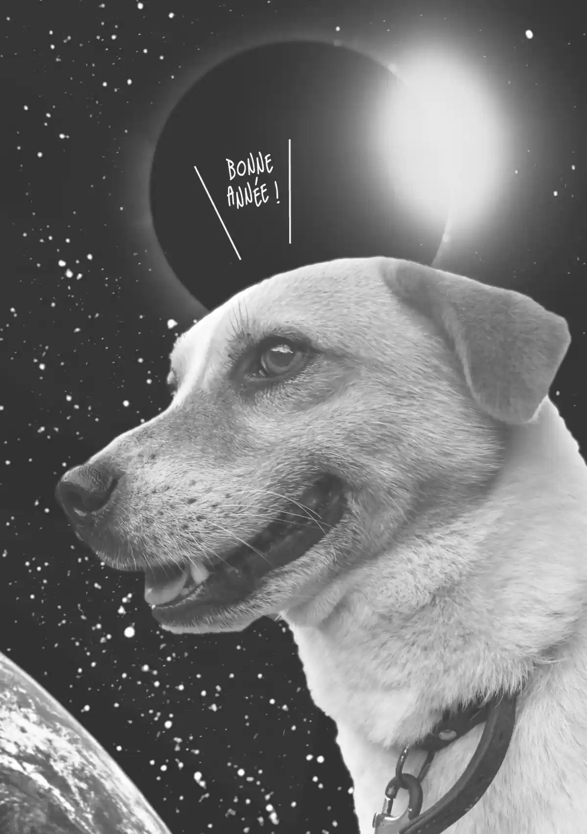 Read Bonne Nuit Punpun FR Manga Online