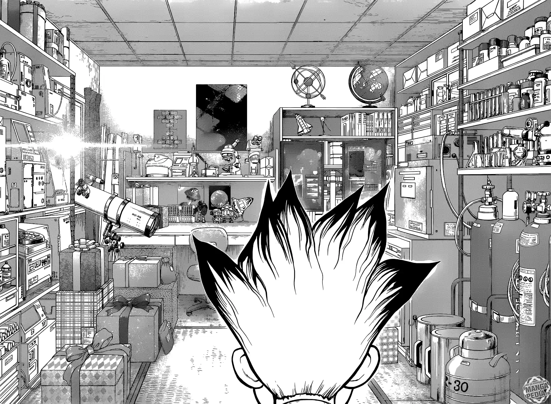 Read Dr. Stone FR Manga Online