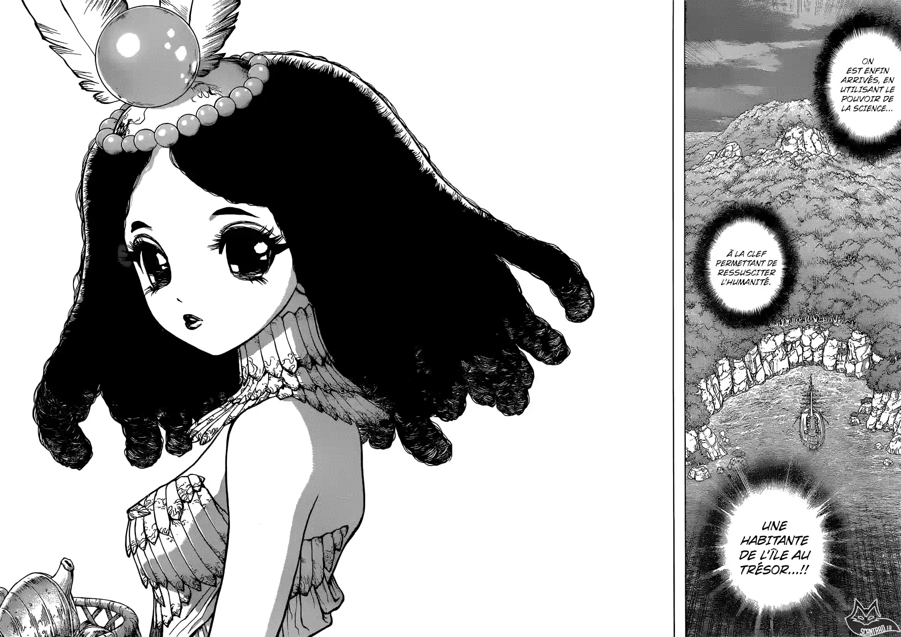 Read Dr. Stone FR Manga Online