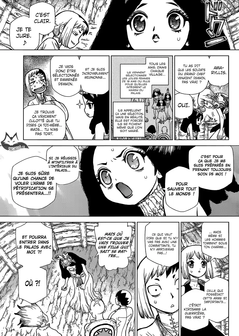 Read Dr. Stone FR Manga Online