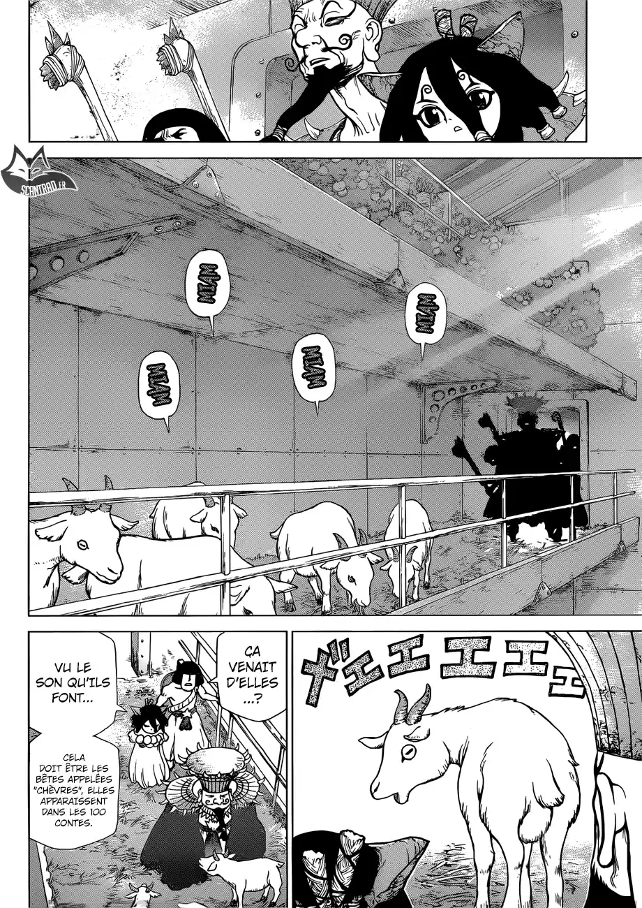 Read Dr. Stone FR Manga Online