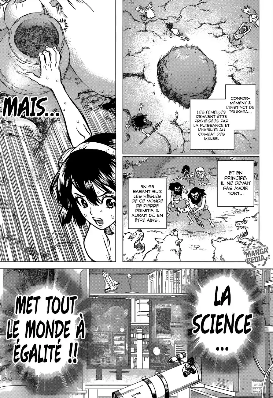 Read Dr. Stone FR Manga Online