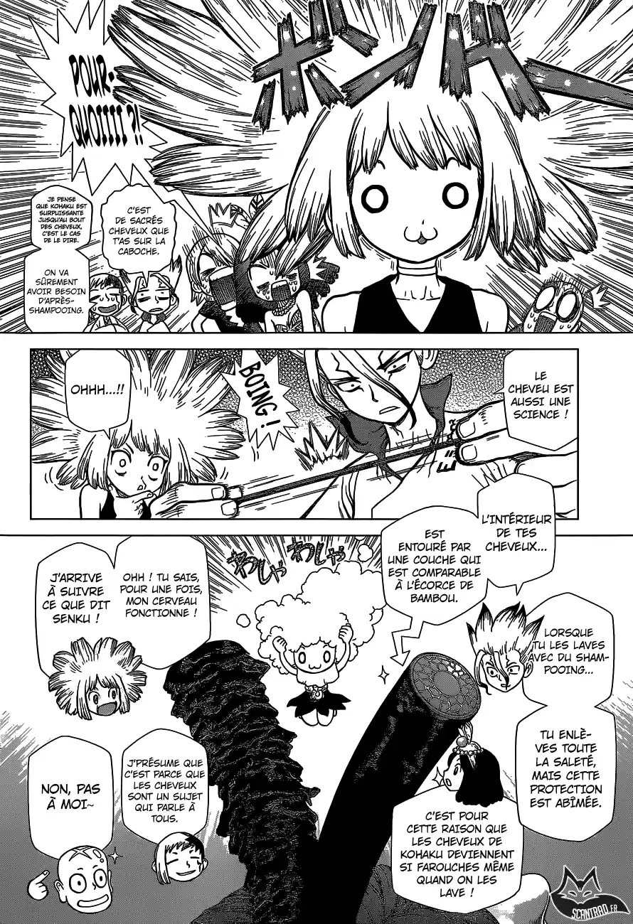 Read Dr. Stone FR Manga Online