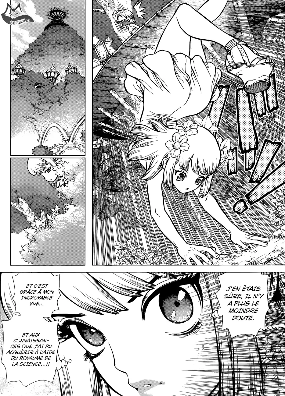 Read Dr. Stone FR Manga Online