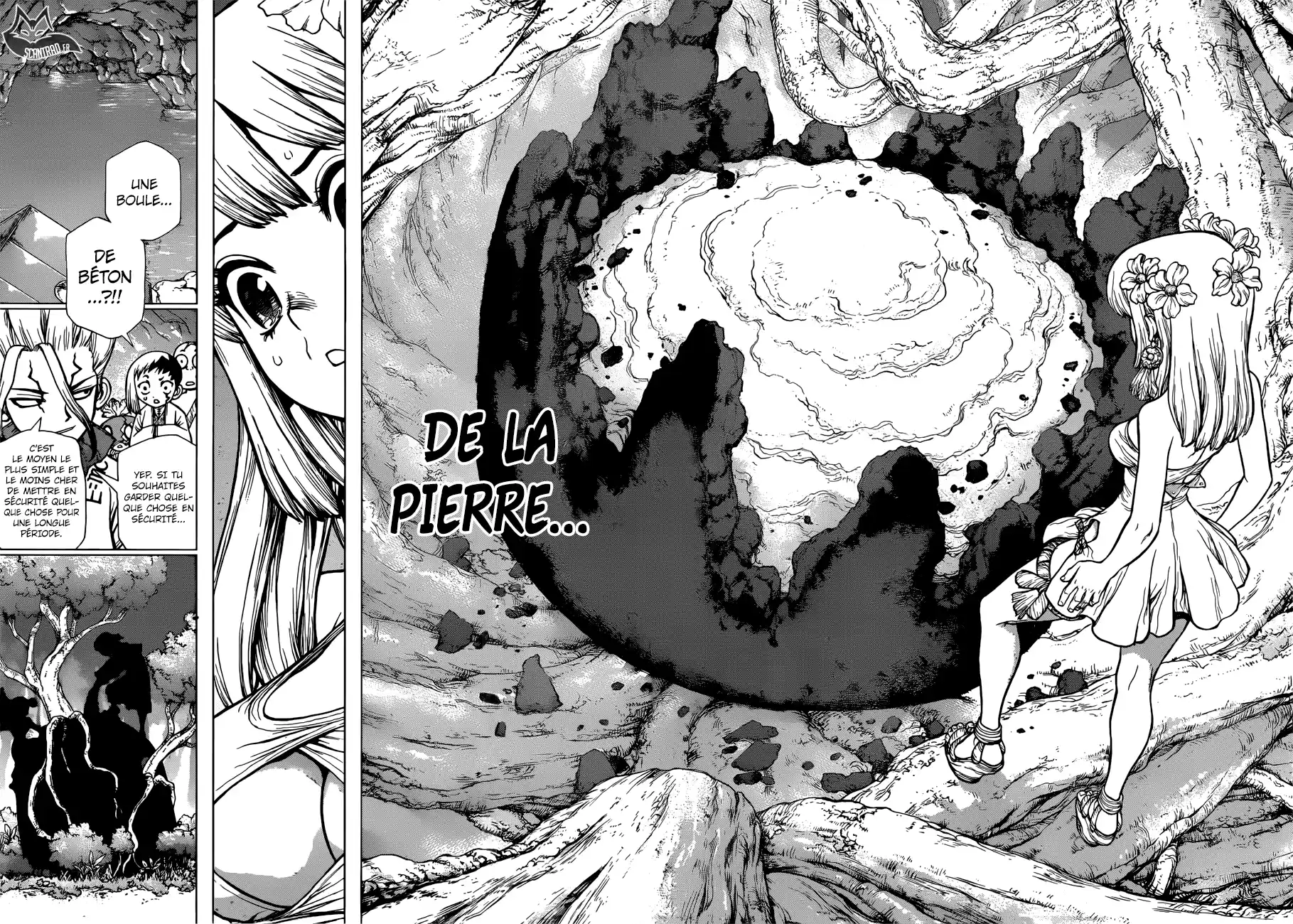 Read Dr. Stone FR Manga Online