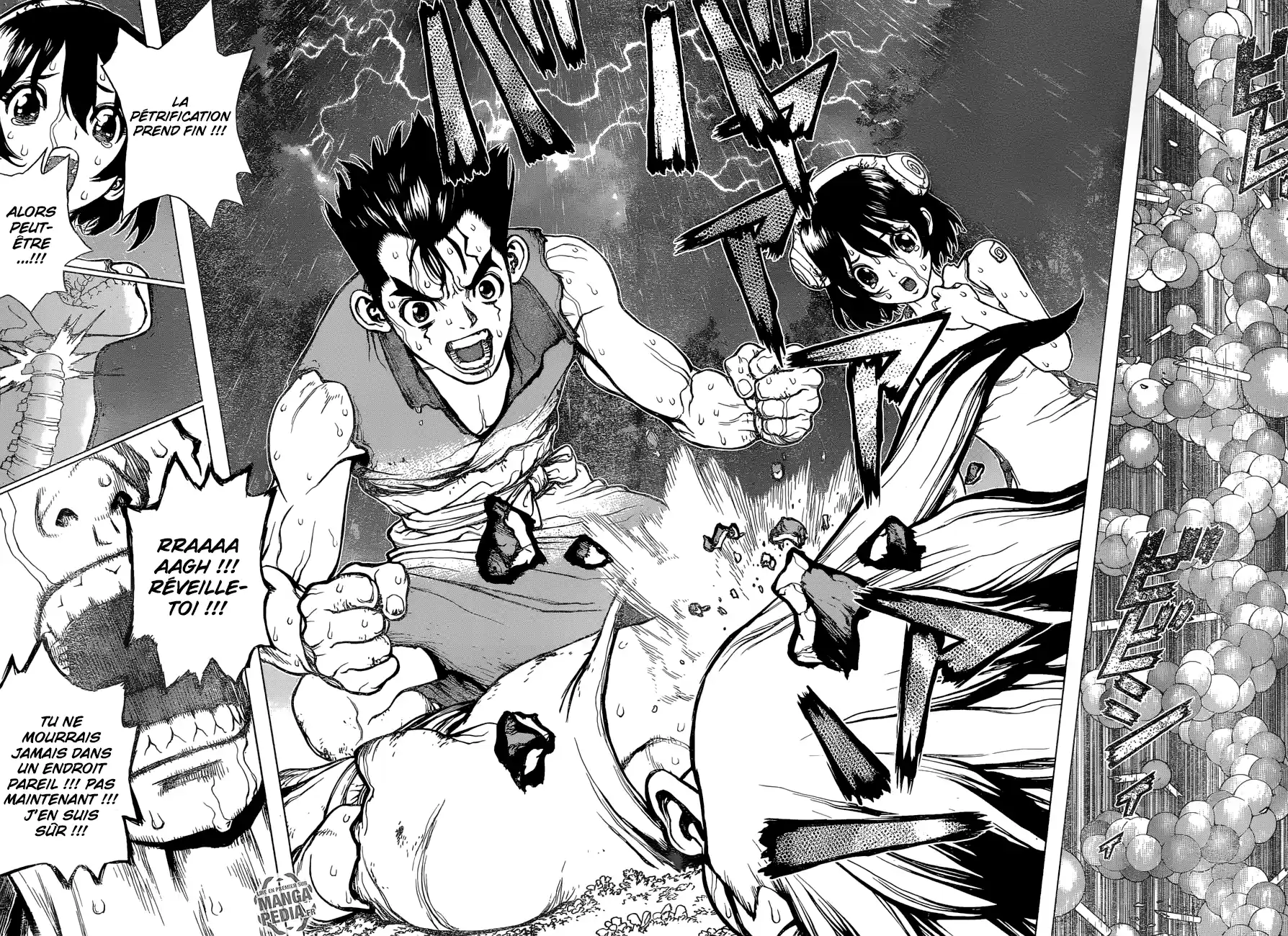 Read Dr. Stone FR Manga Online