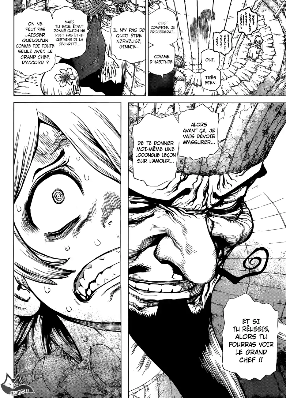 Read Dr. Stone FR Manga Online