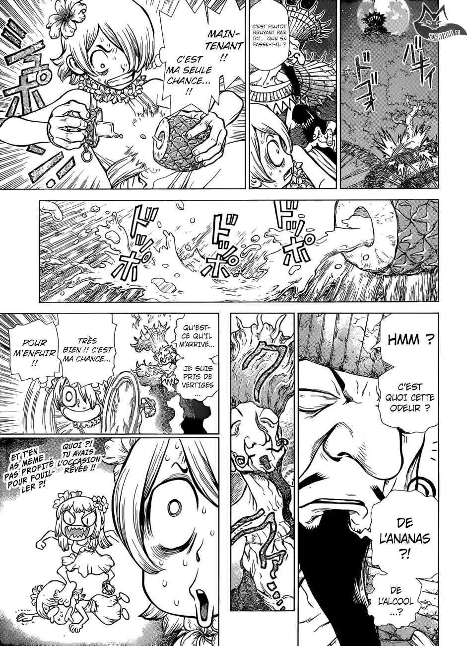 Read Dr. Stone FR Manga Online