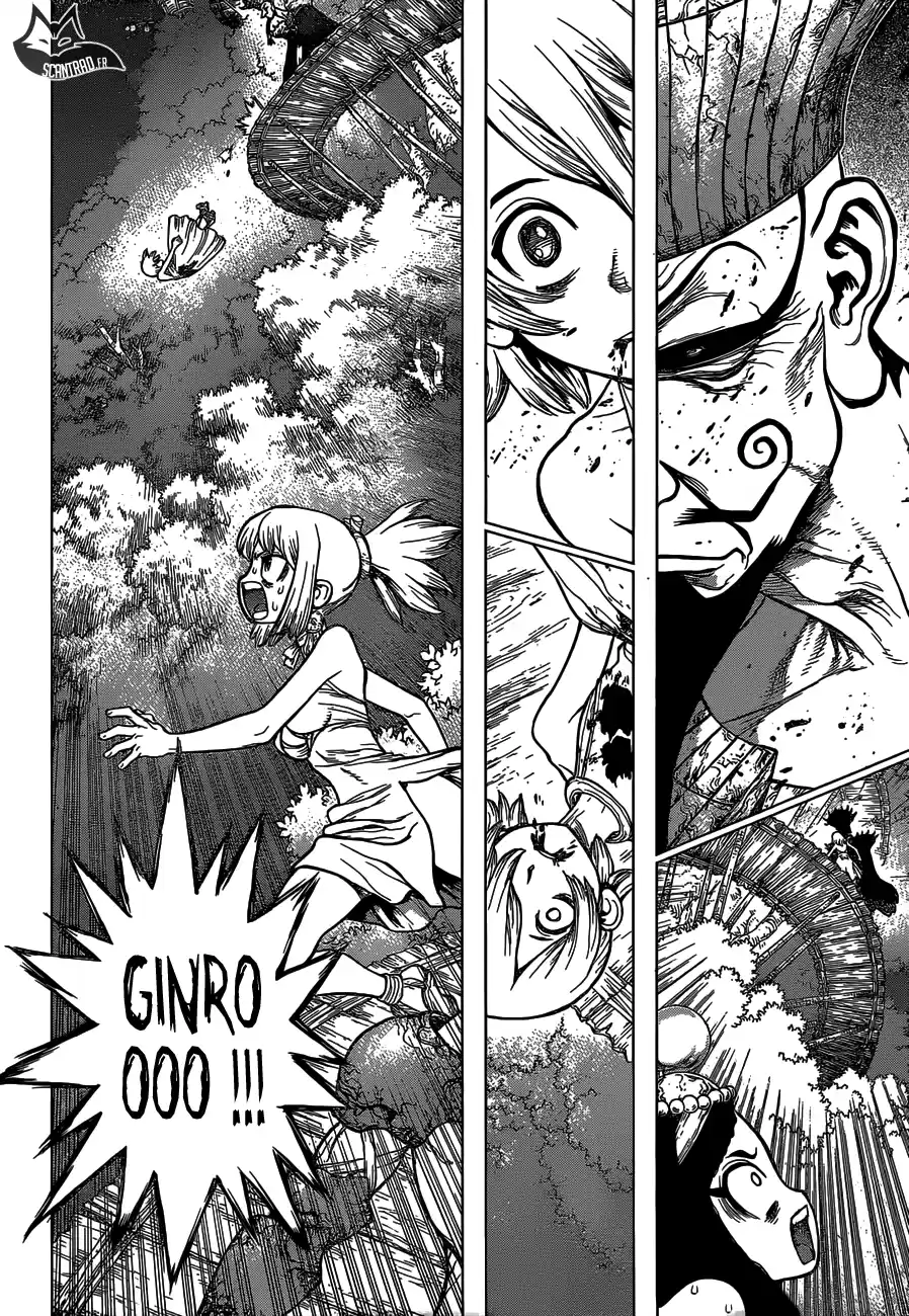 Read Dr. Stone FR Manga Online