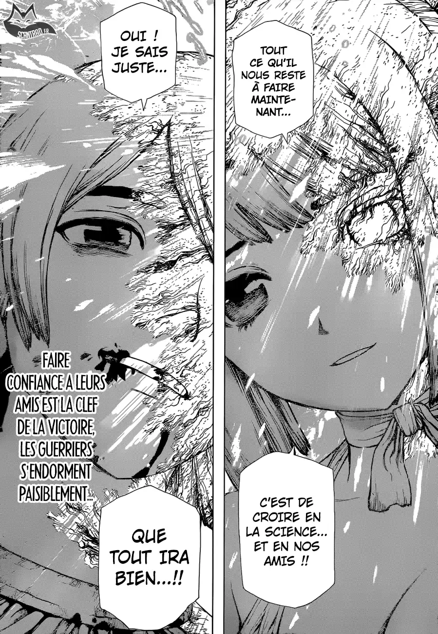 Read Dr. Stone FR Manga Online