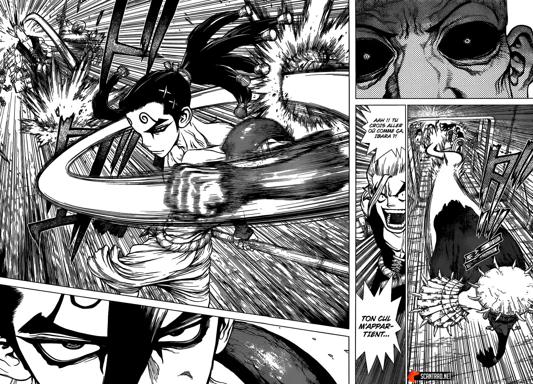 Read Dr. Stone FR Manga Online