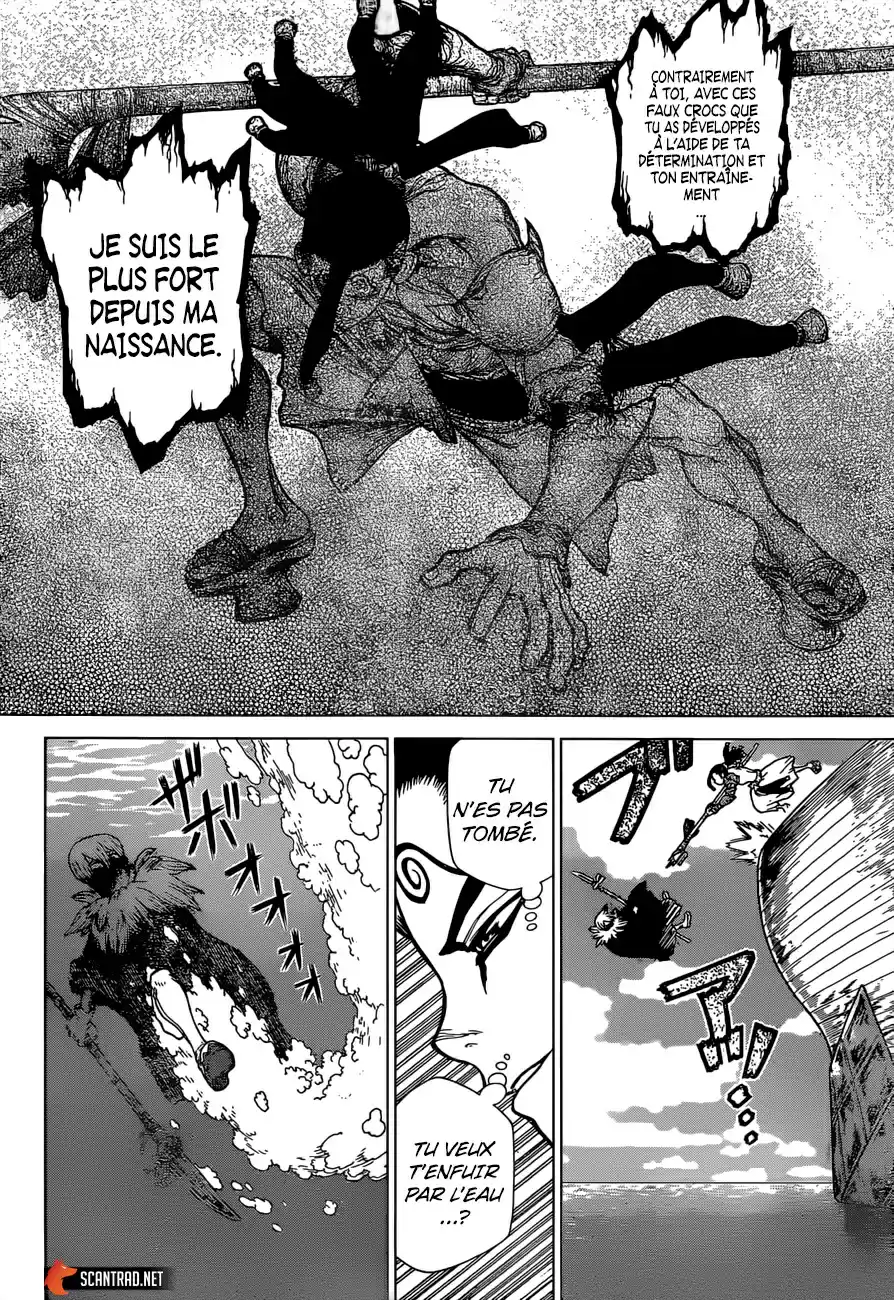 Read Dr. Stone FR Manga Online