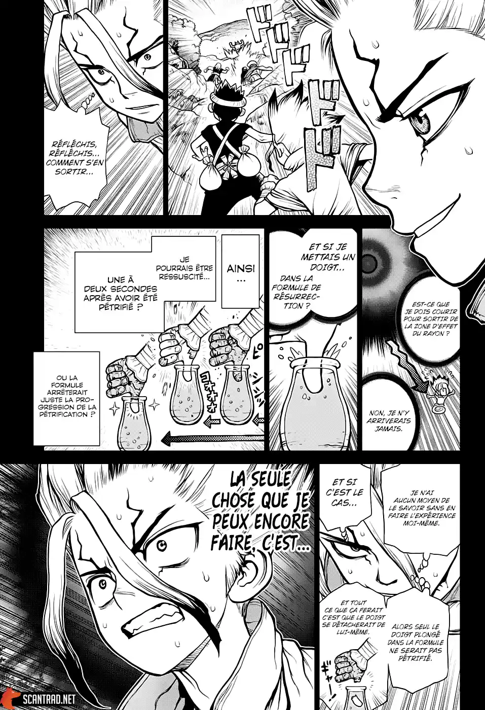 Read Dr. Stone FR Manga Online