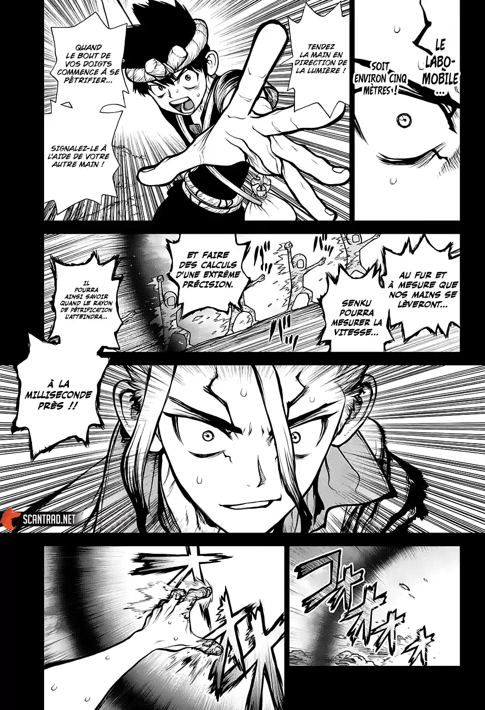 Read Dr. Stone FR Manga Online