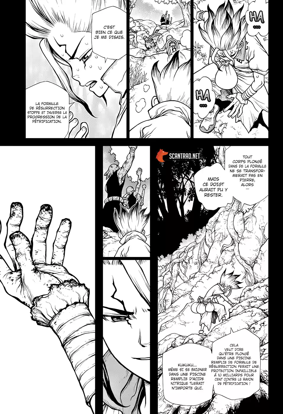 Read Dr. Stone FR Manga Online