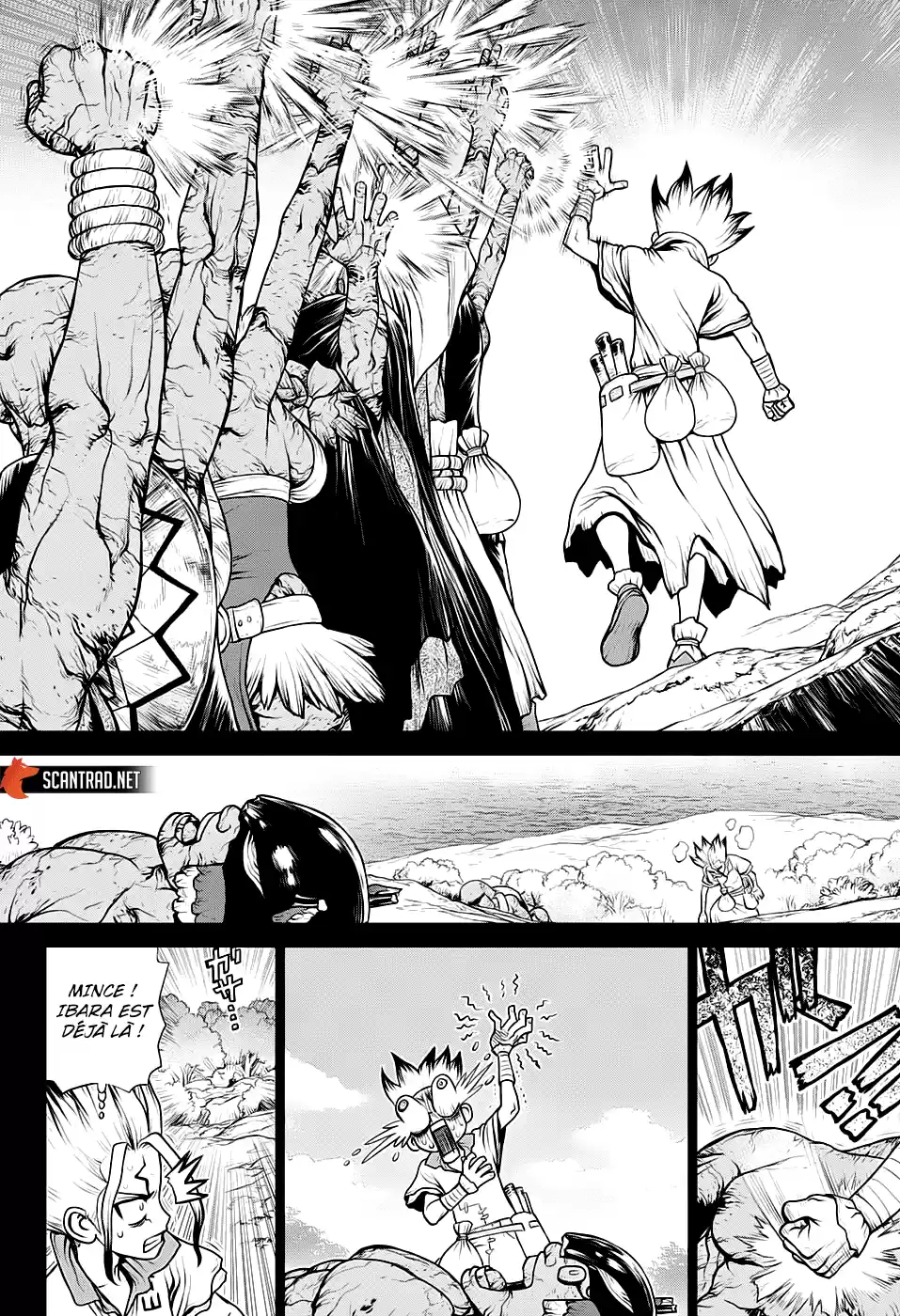 Read Dr. Stone FR Manga Online