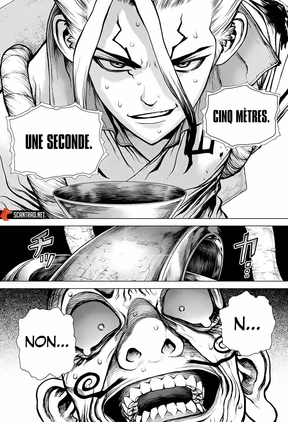 Read Dr. Stone FR Manga Online