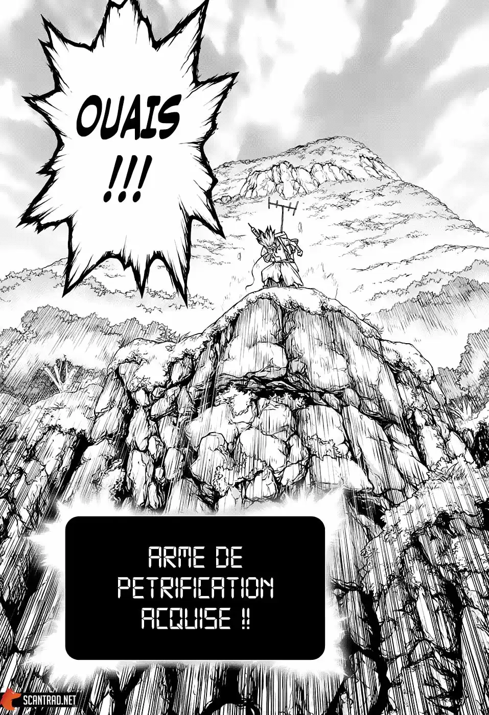 Read Dr. Stone FR Manga Online