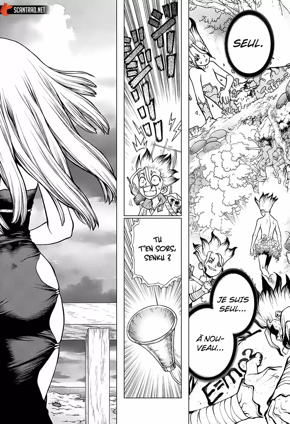 Read Dr. Stone FR Manga Online