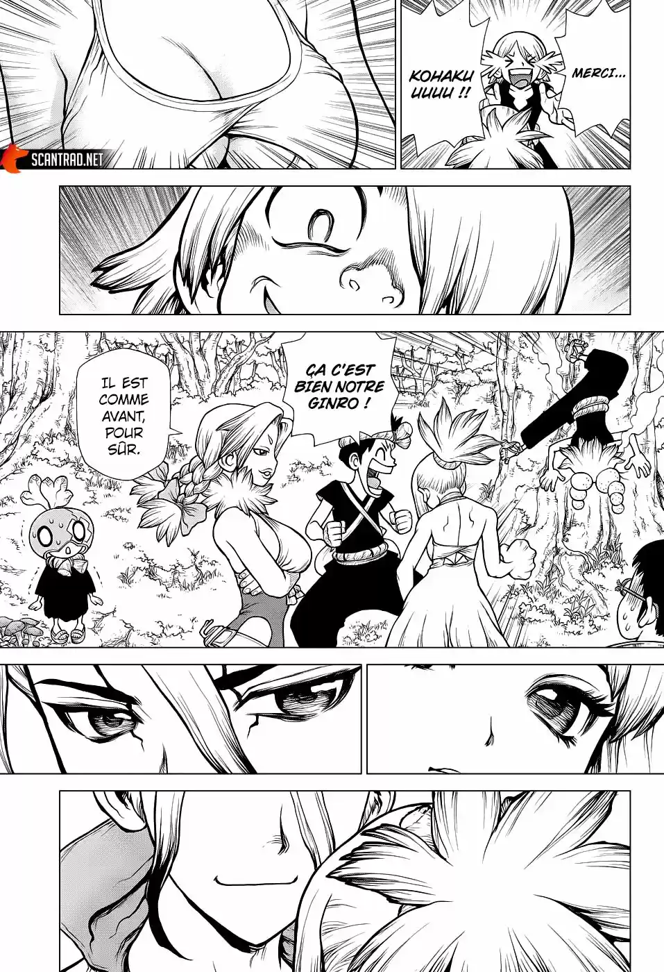 Read Dr. Stone FR Manga Online