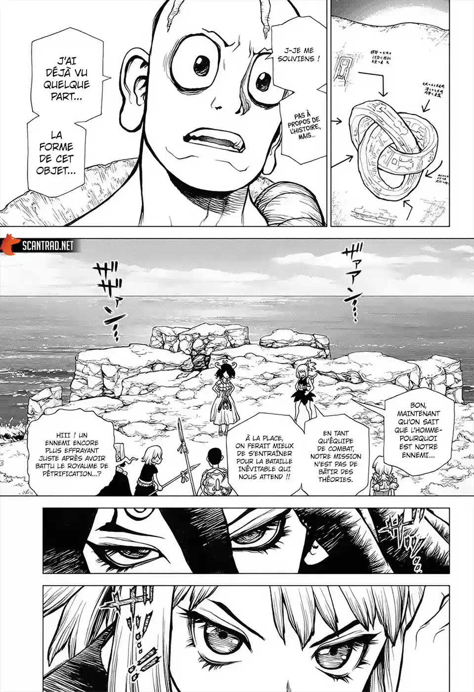 Read Dr. Stone FR Manga Online