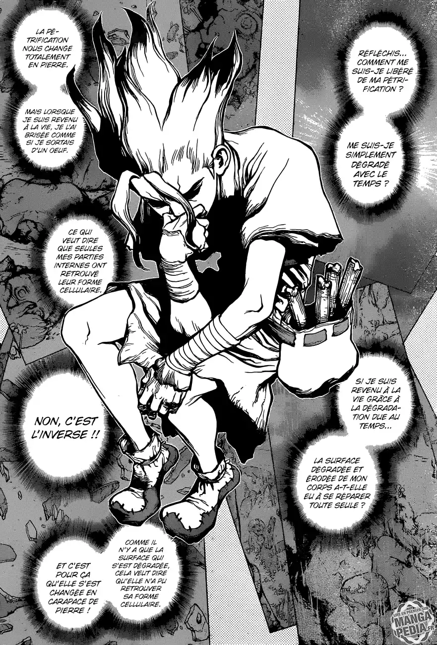 Read Dr. Stone FR Manga Online