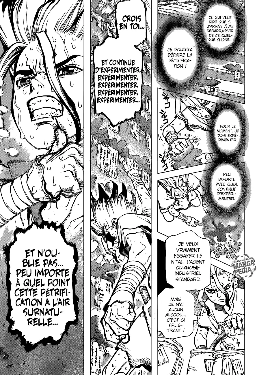 Read Dr. Stone FR Manga Online