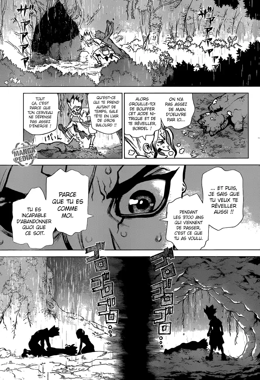 Read Dr. Stone FR Manga Online