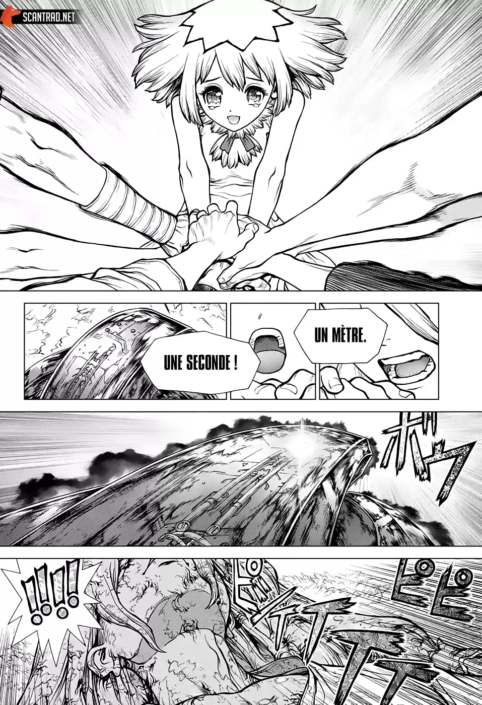 Read Dr. Stone FR Manga Online