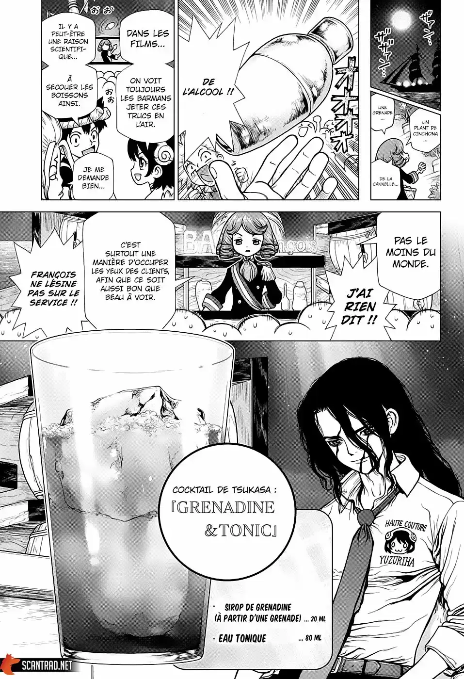 Read Dr. Stone FR Manga Online