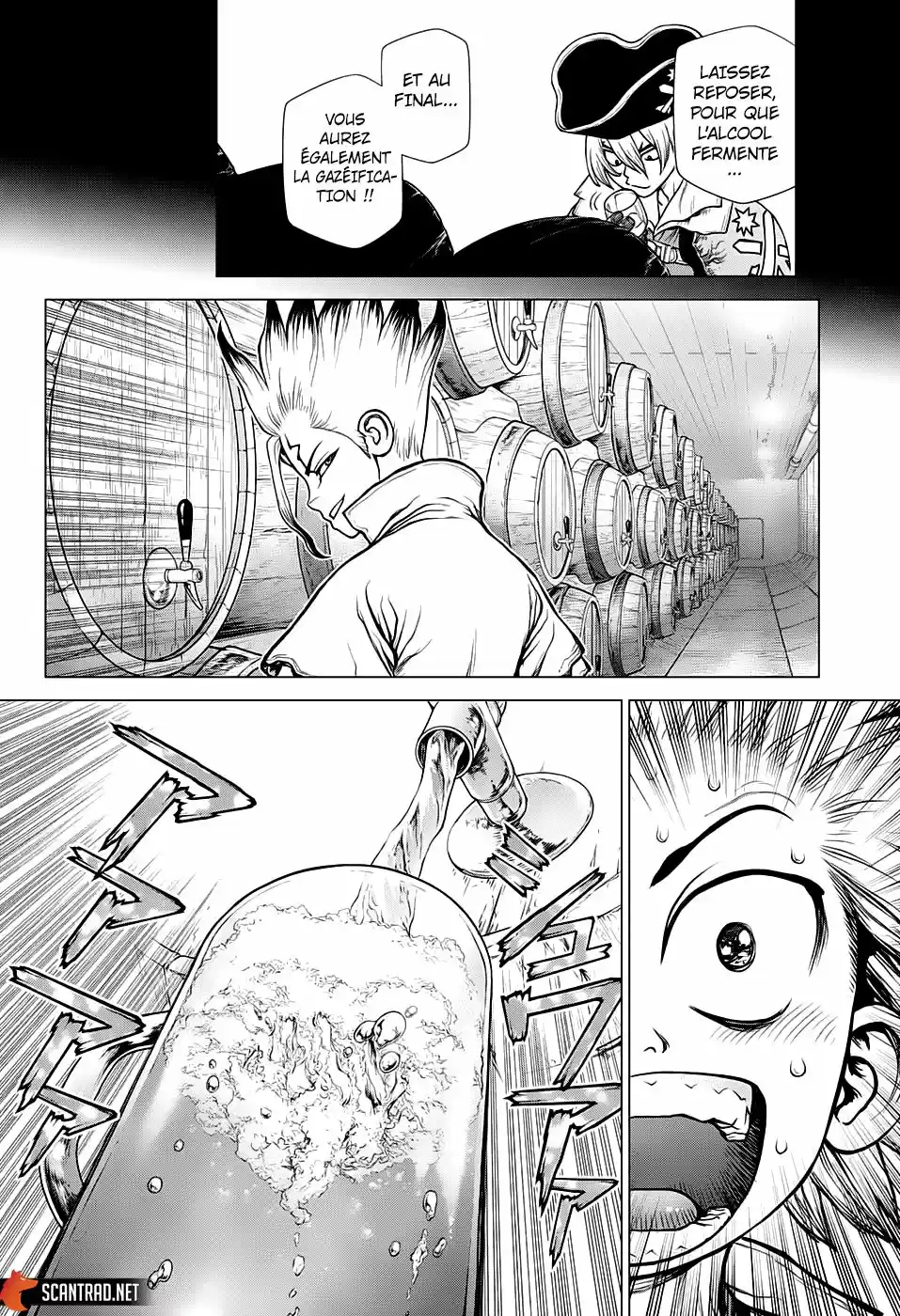 Read Dr. Stone FR Manga Online