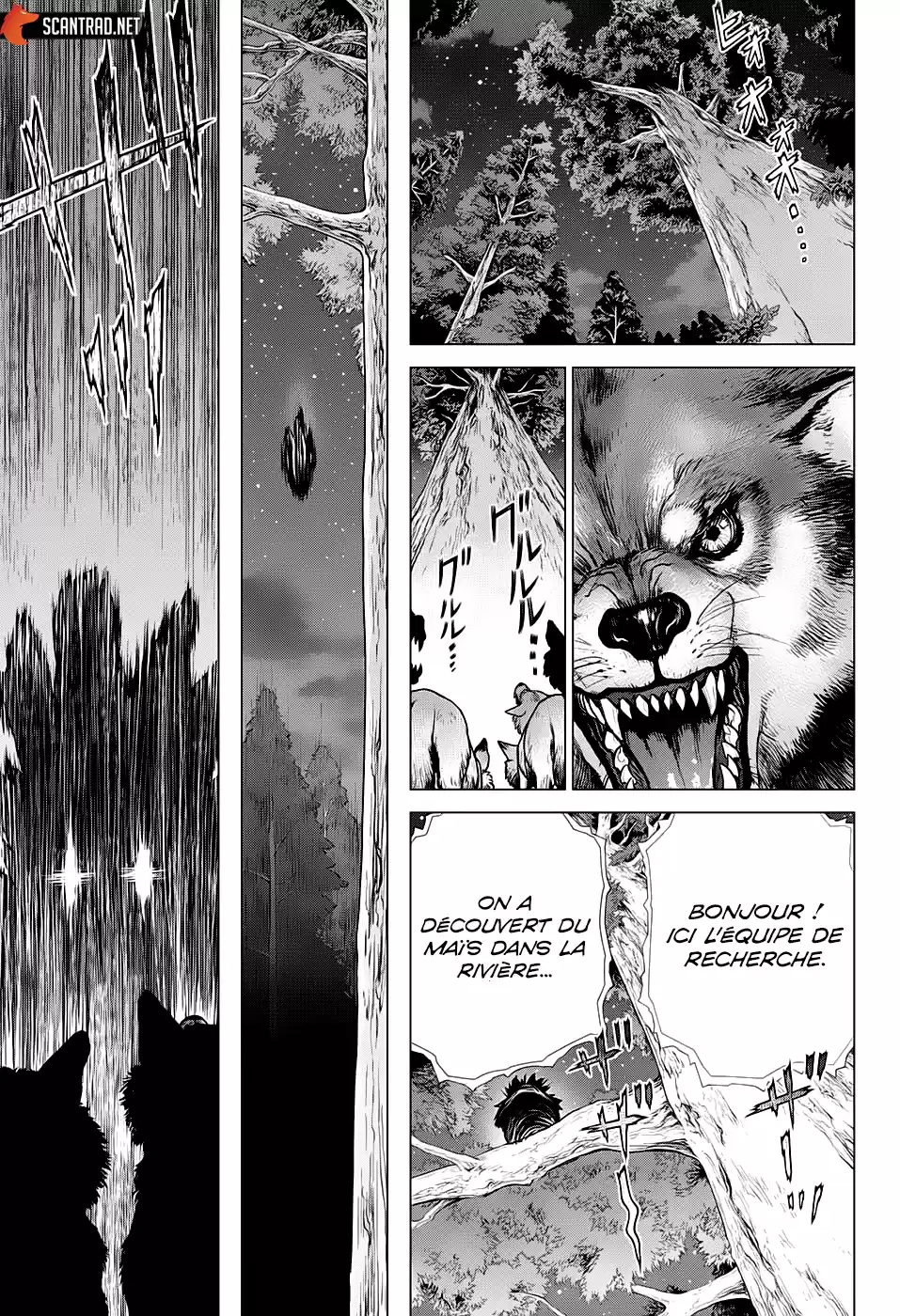 Read Dr. Stone FR Manga Online