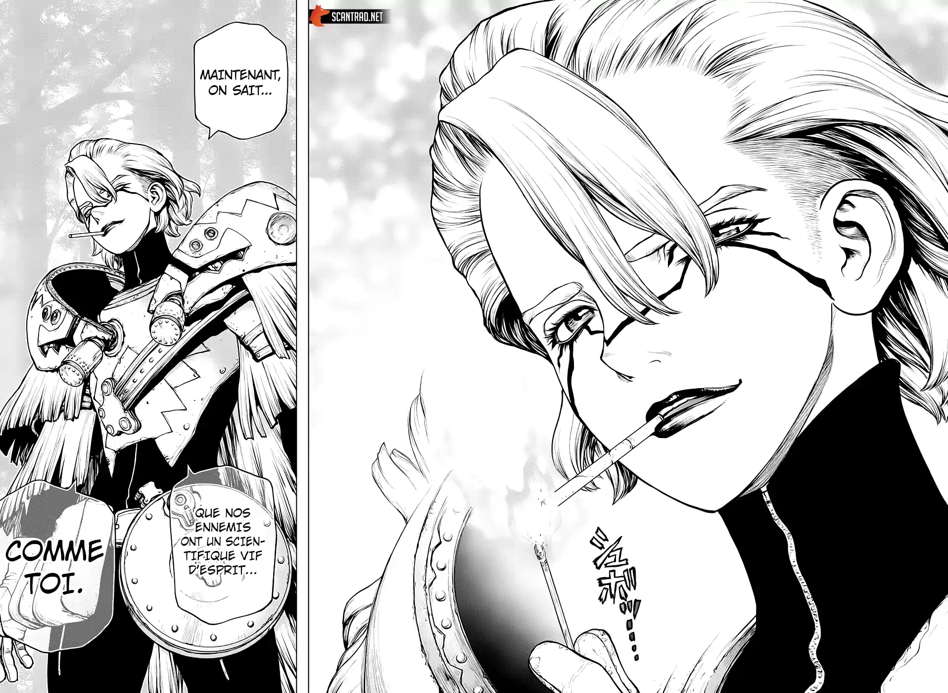 Read Dr. Stone FR Manga Online