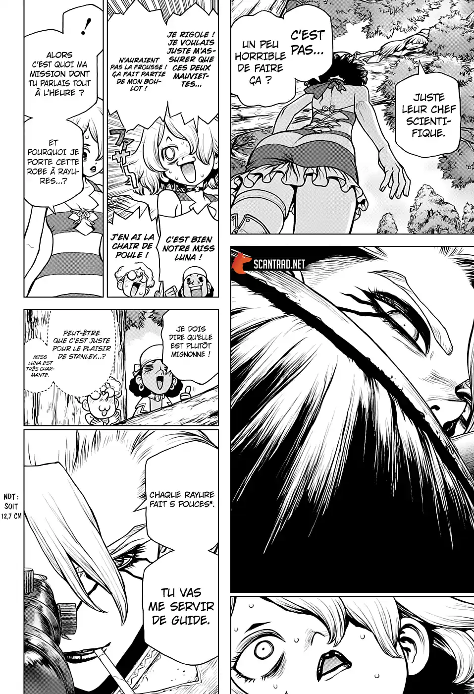Read Dr. Stone FR Manga Online