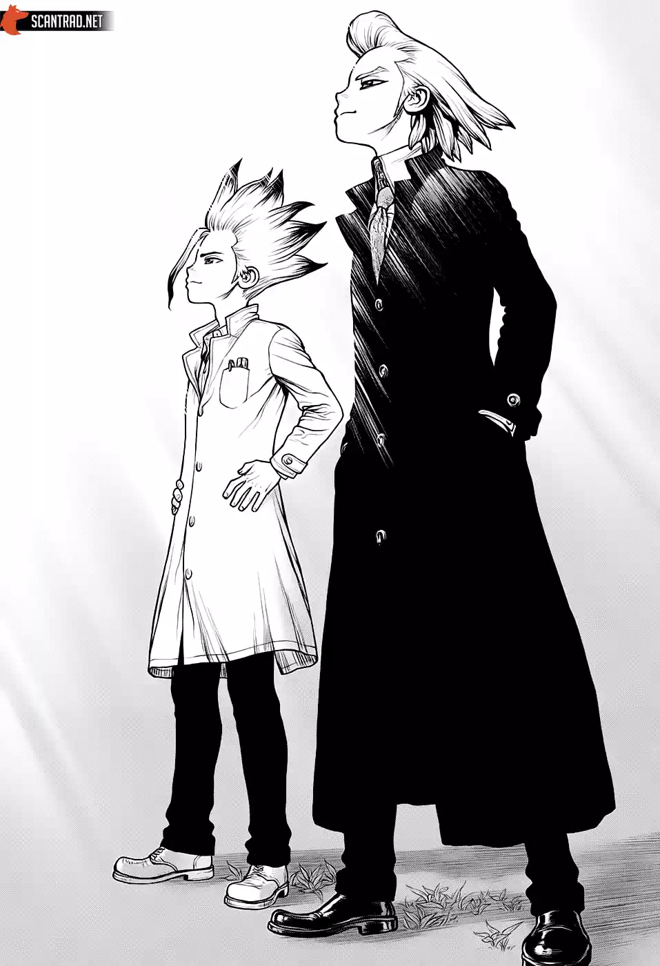 Read Dr. Stone FR Manga Online