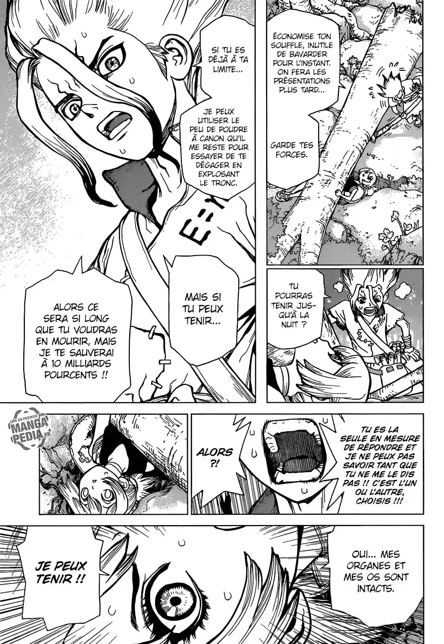 Read Dr. Stone FR Manga Online