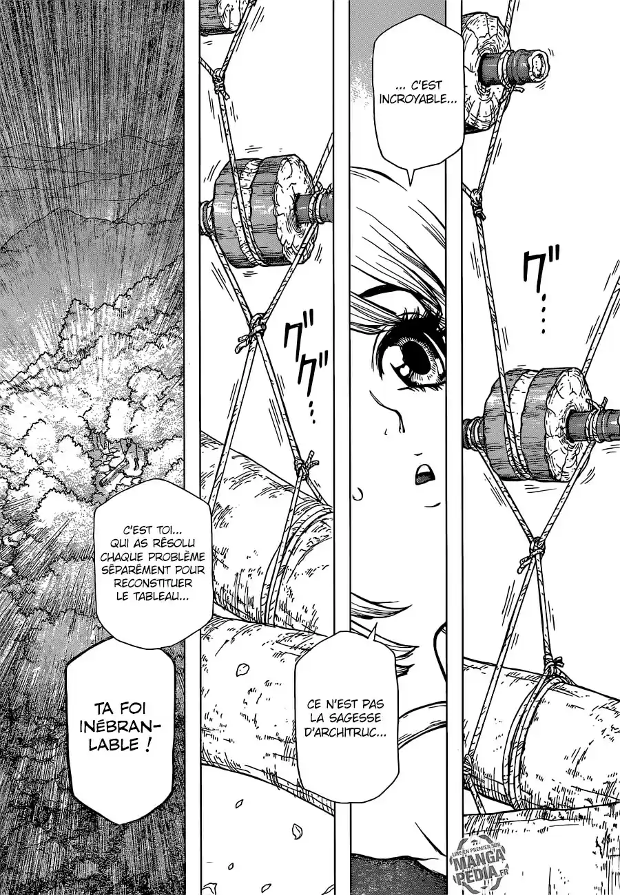 Read Dr. Stone FR Manga Online