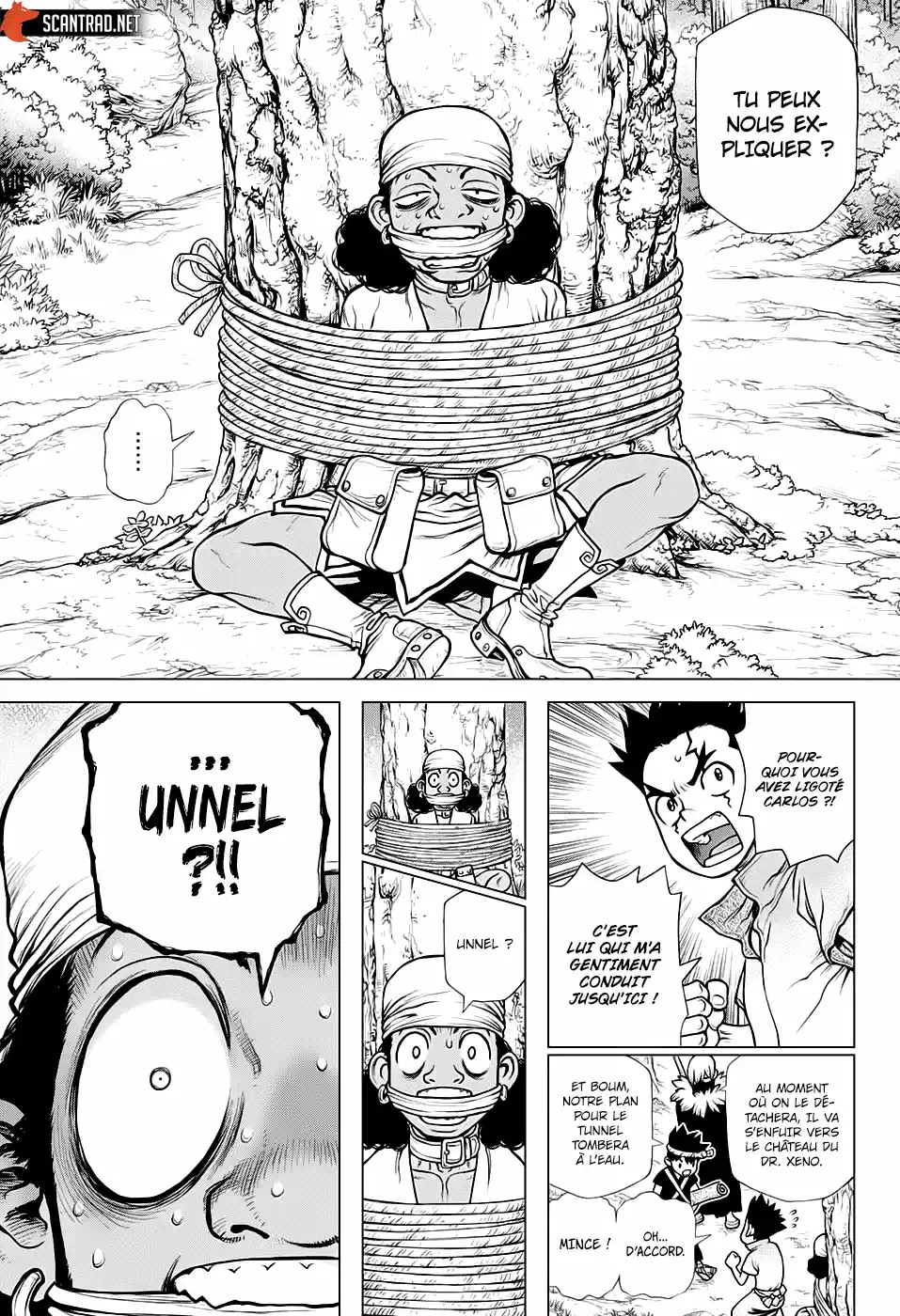 Read Dr. Stone FR Manga Online