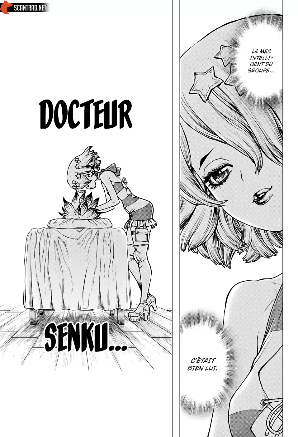 Read Dr. Stone FR Manga Online