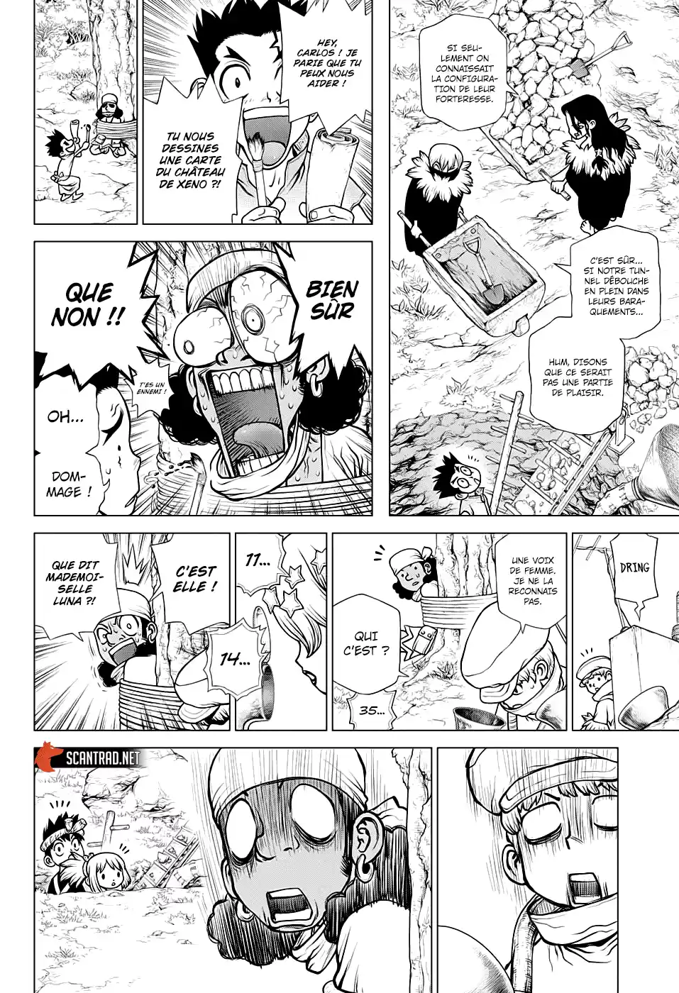 Read Dr. Stone FR Manga Online