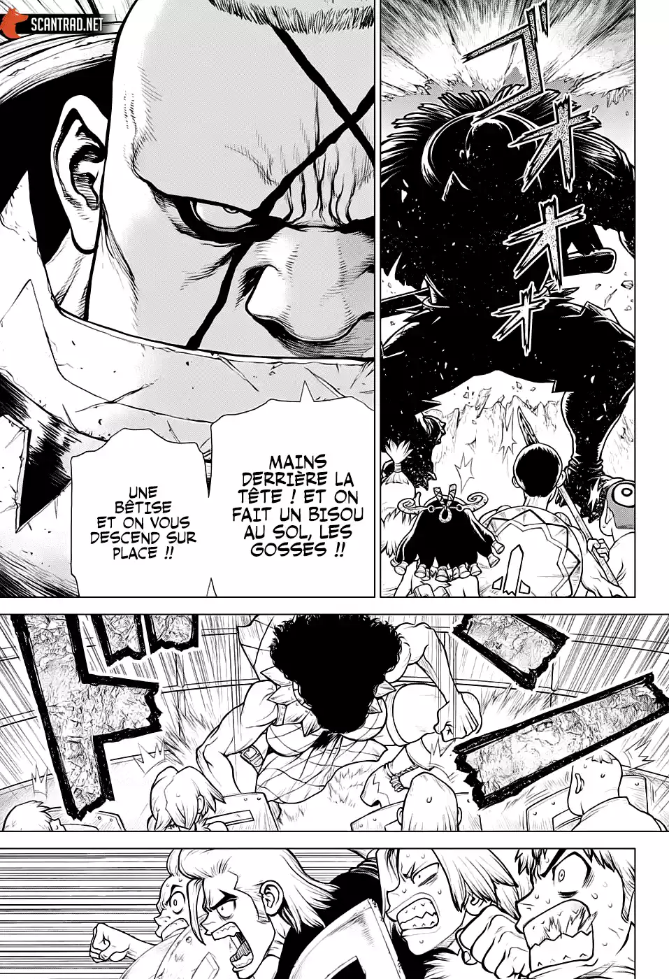Read Dr. Stone FR Manga Online