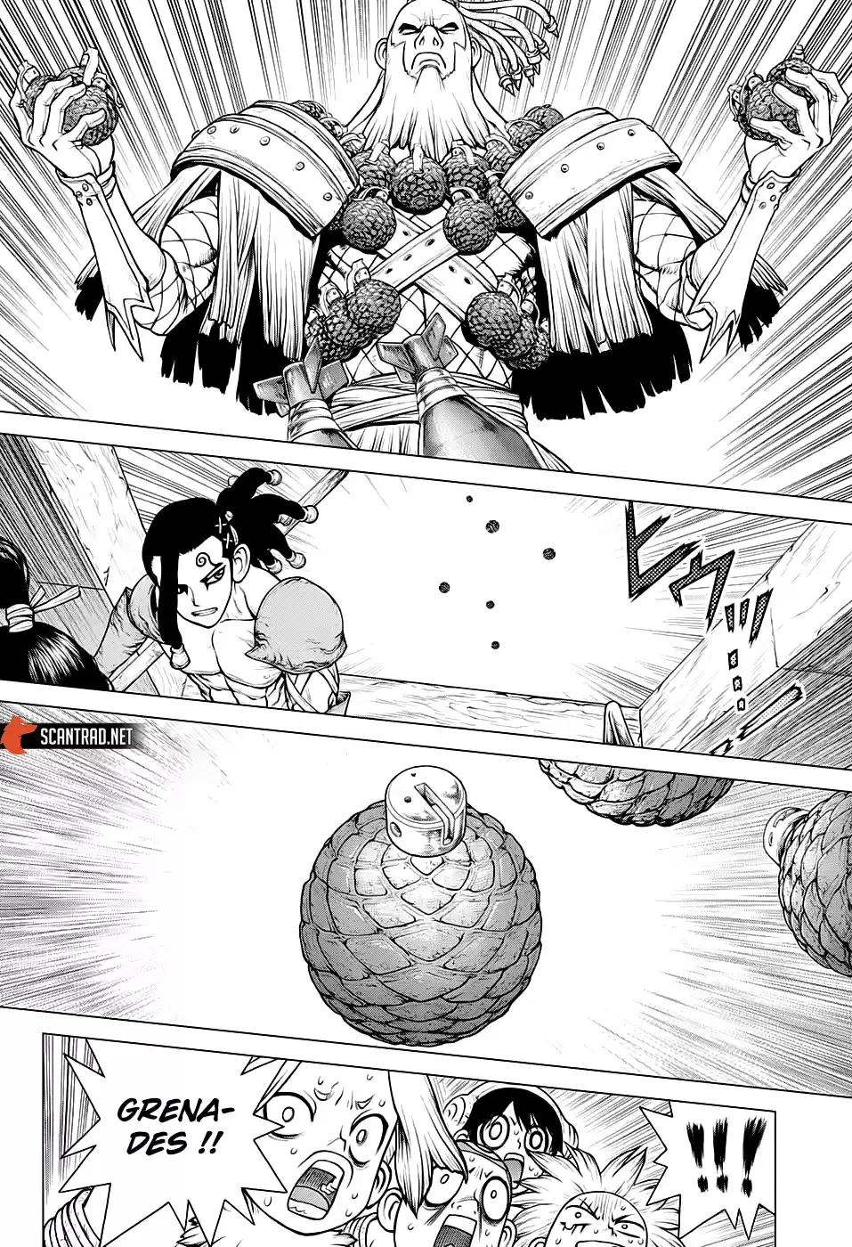 Read Dr. Stone FR Manga Online