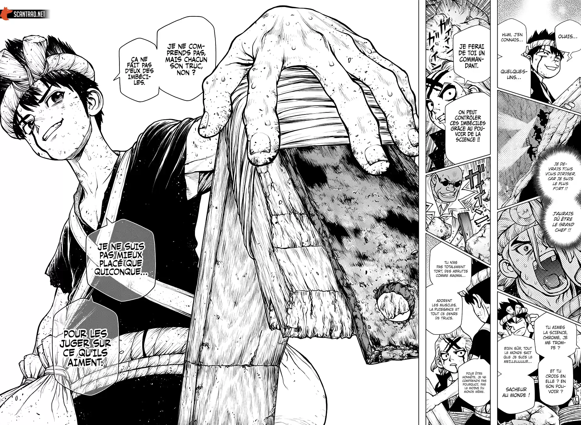 Read Dr. Stone FR Manga Online