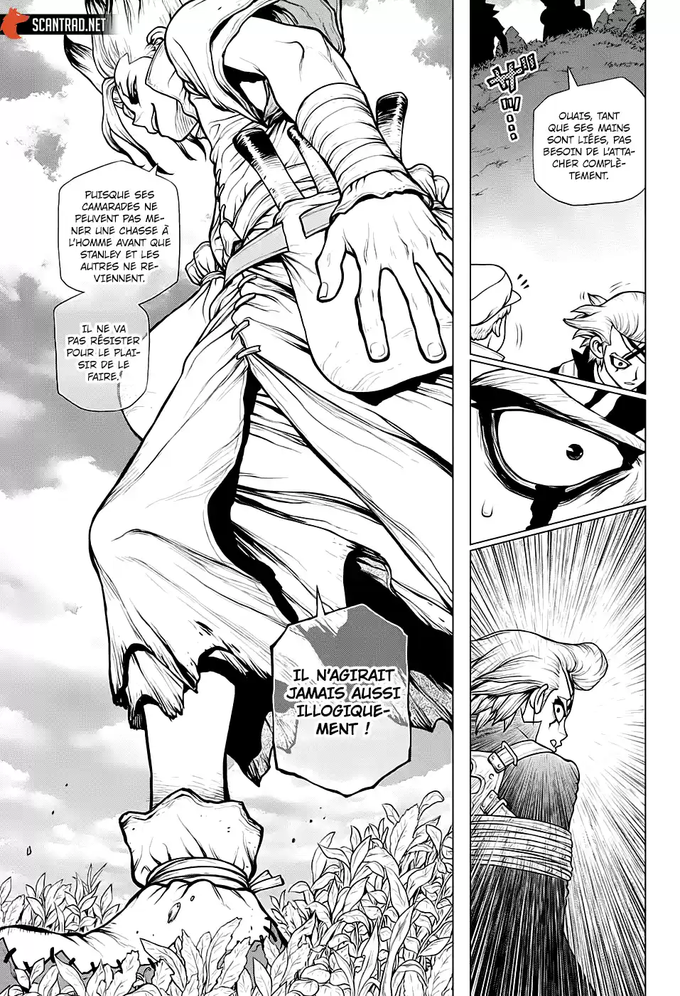 Read Dr. Stone FR Manga Online