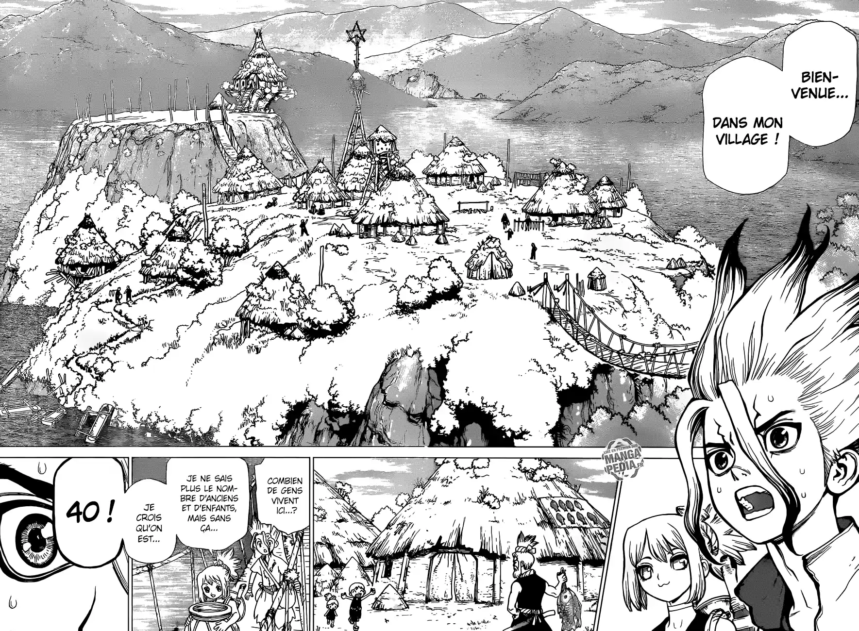 Read Dr. Stone FR Manga Online