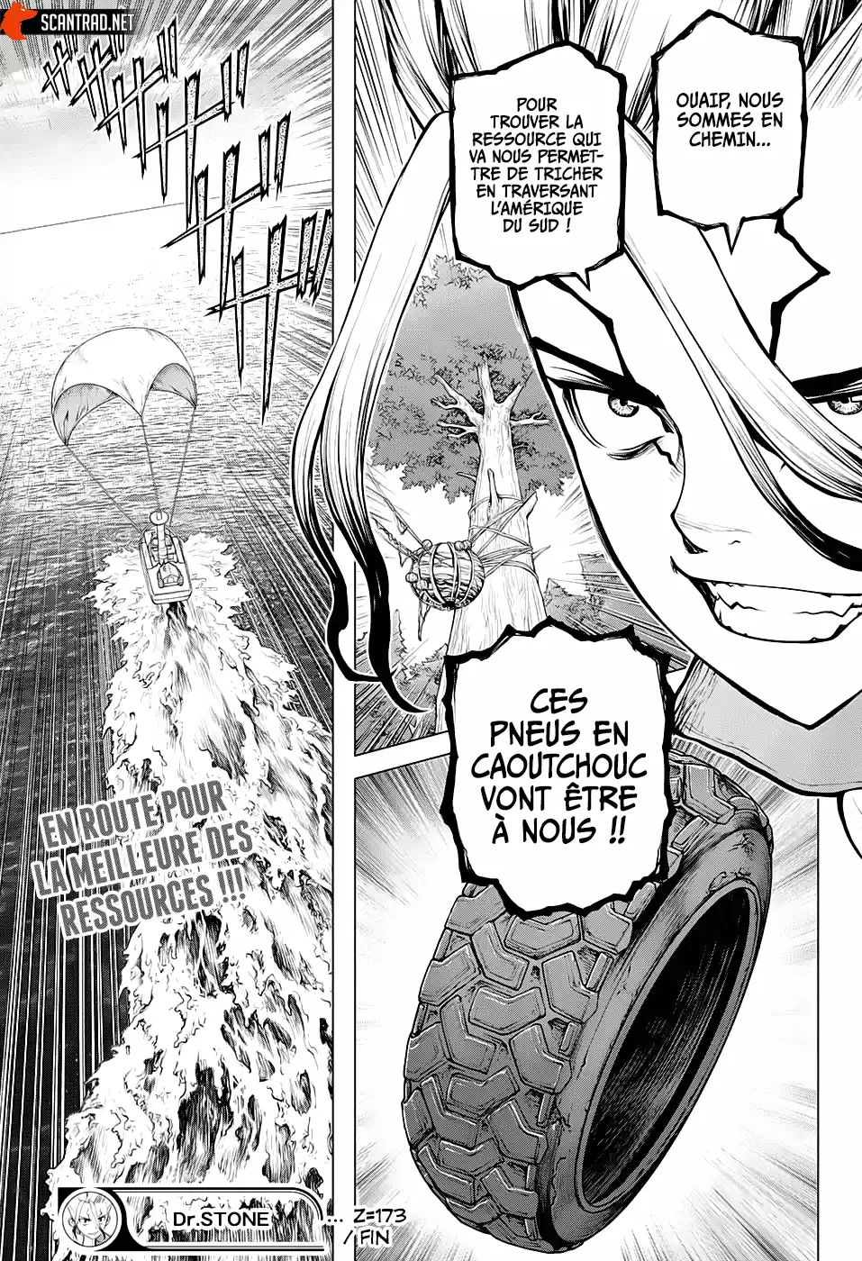 Read Dr. Stone FR Manga Online